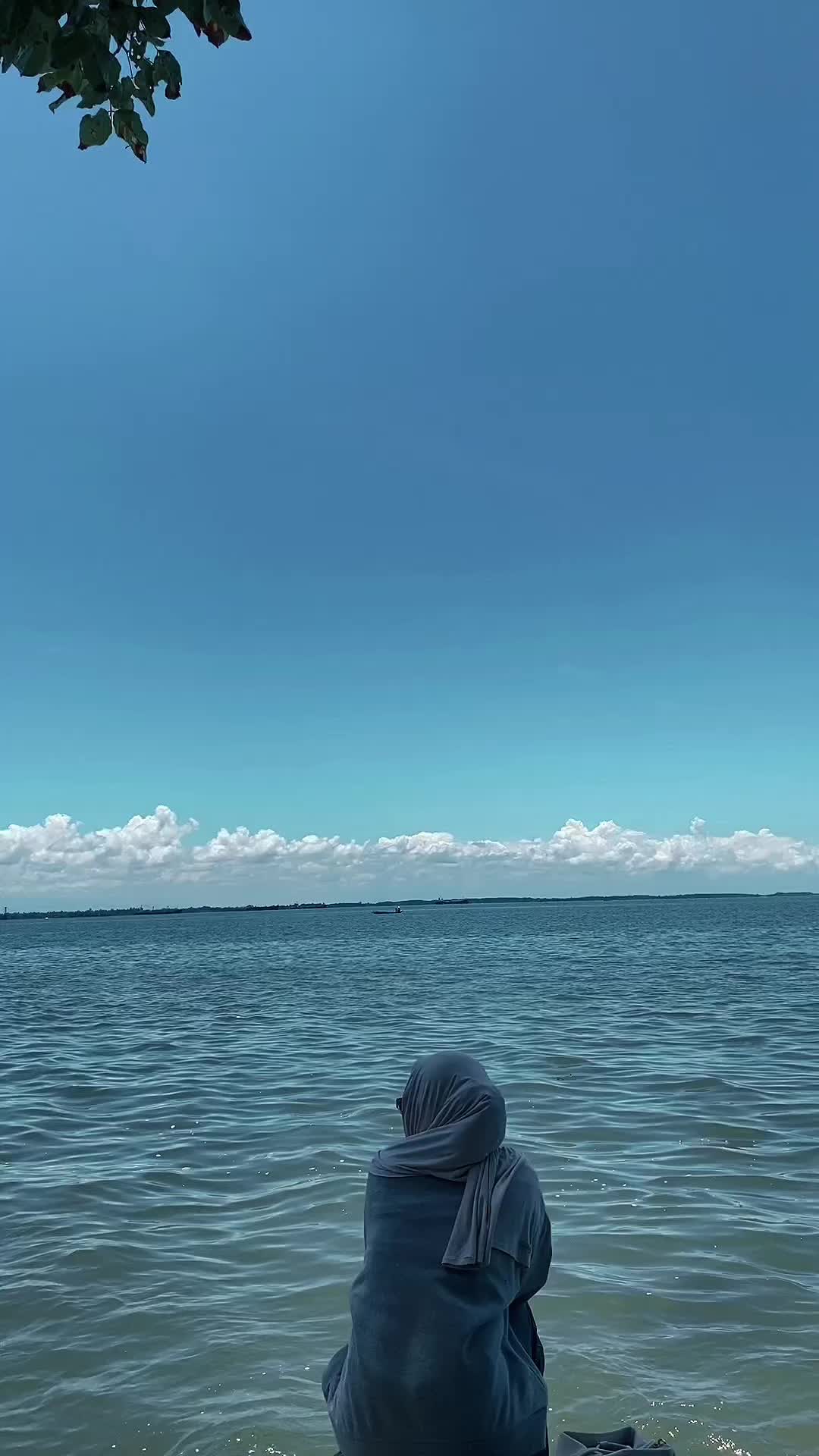 @🦋✨