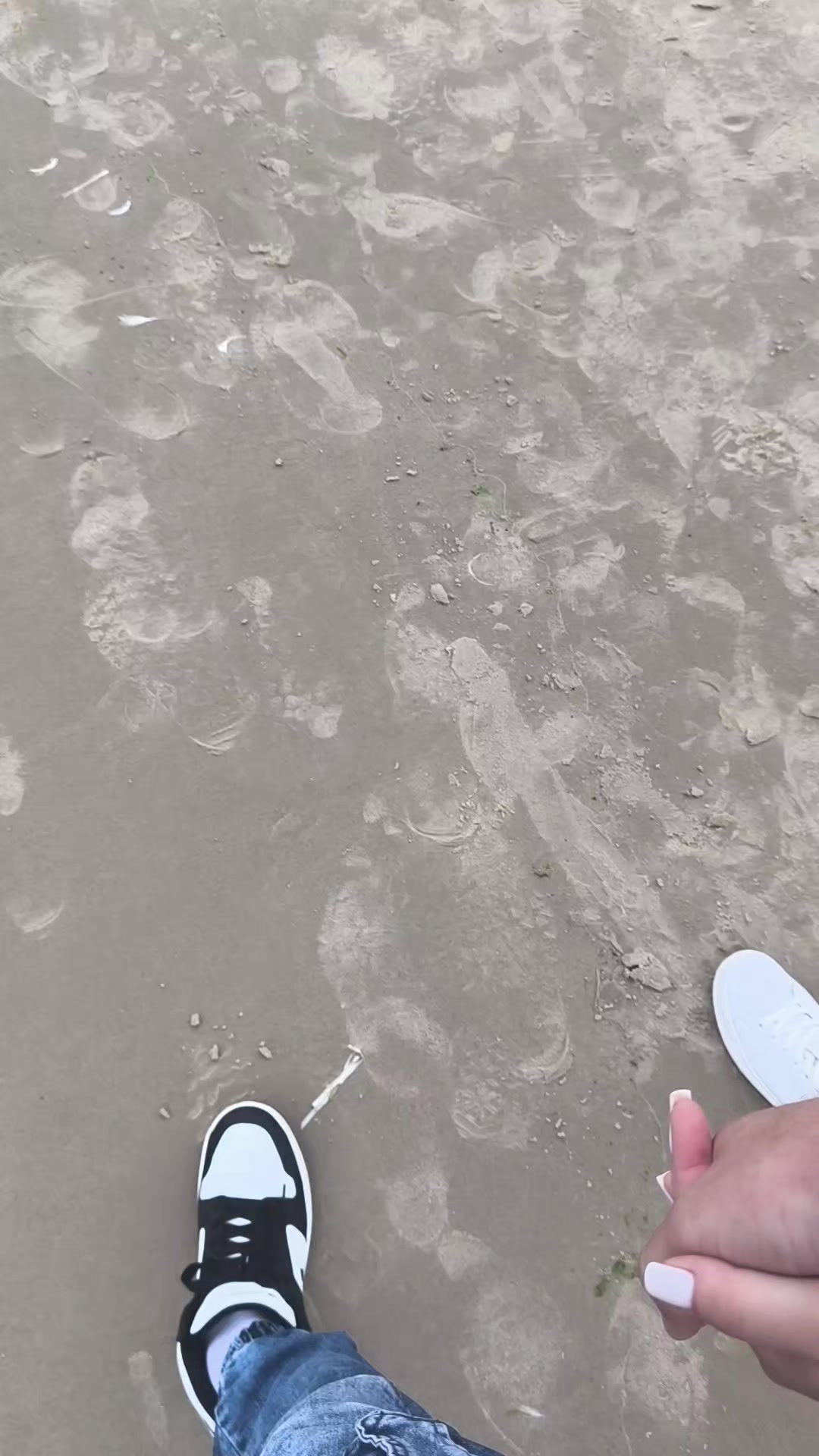 @ɪᴠᴀɴ | ᴀɢʀᴏ🫡