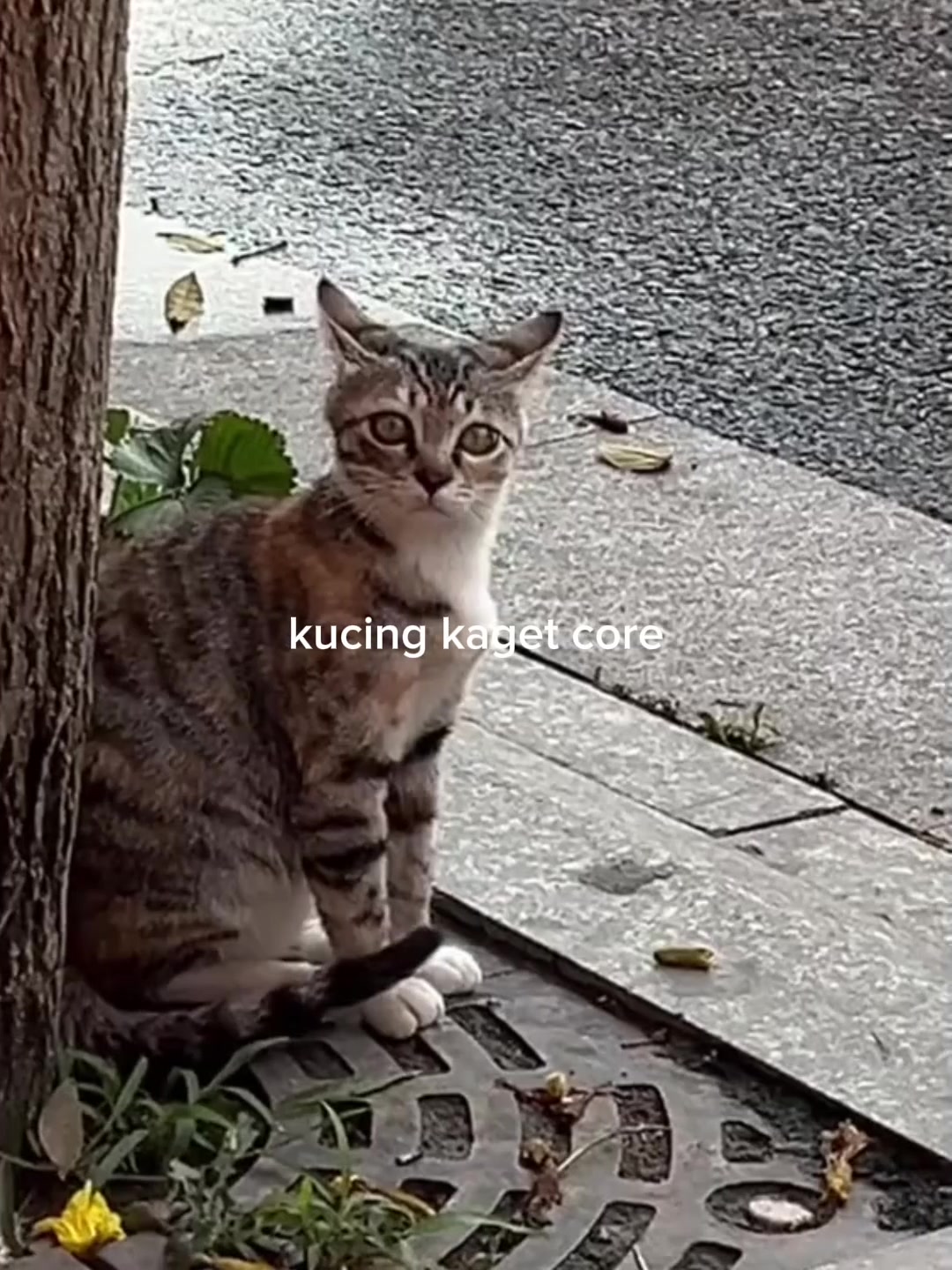 @JIMMY