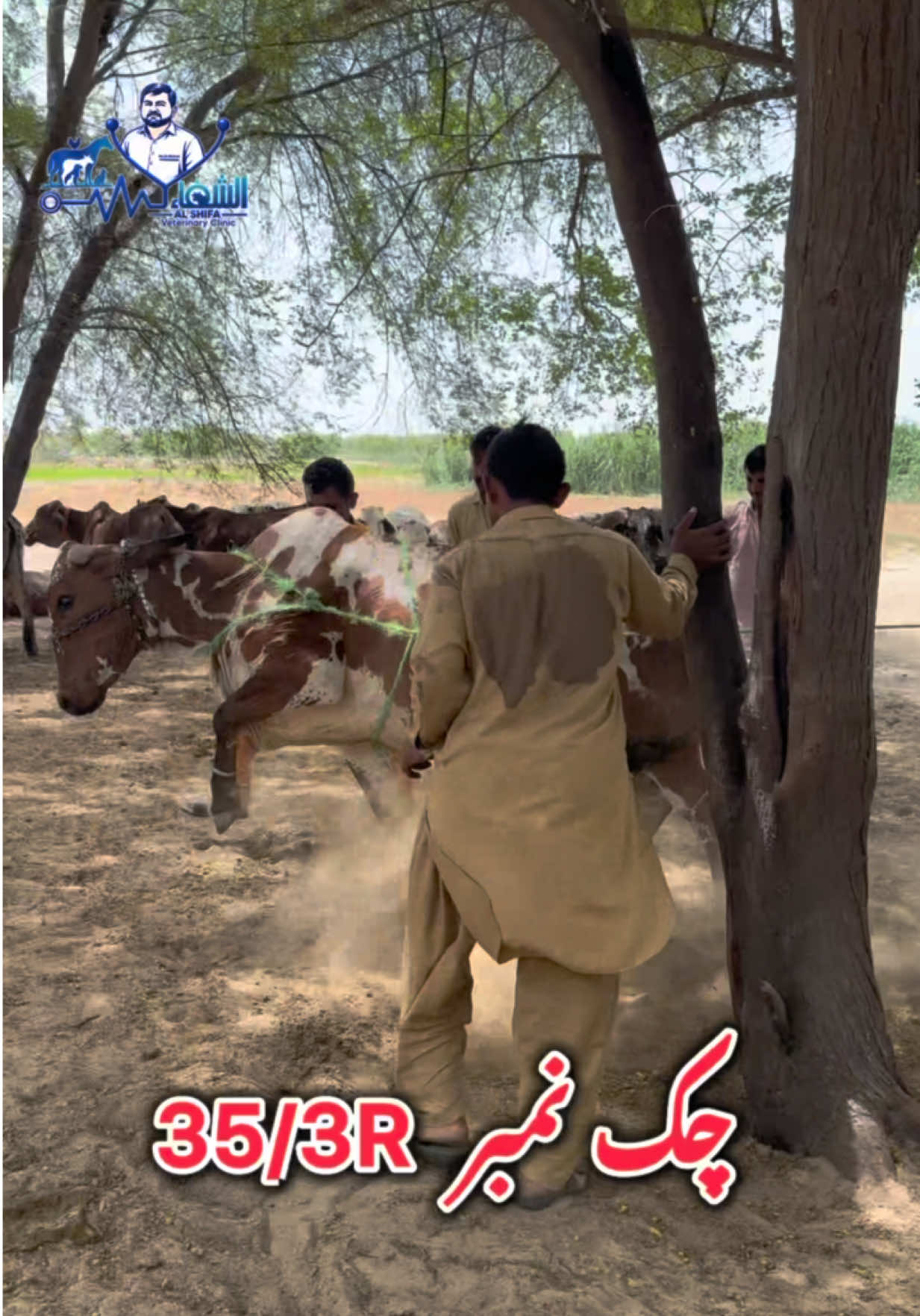 @Dr.Mohsin