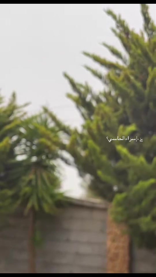 @@Esraa Alhassi❤.؟