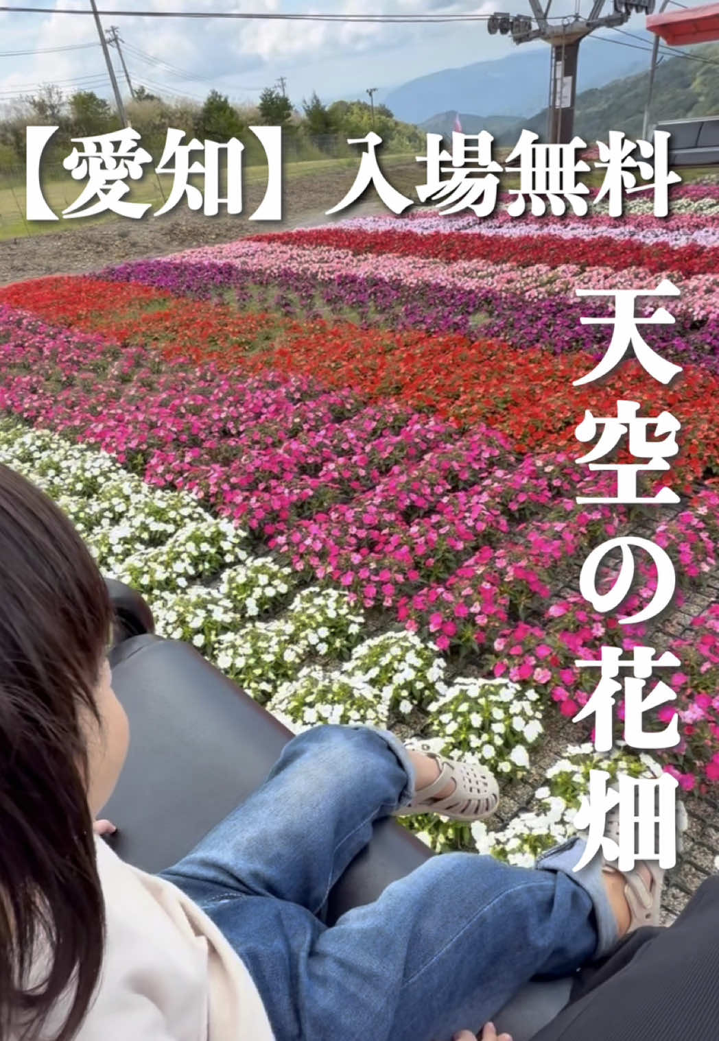 @東海映え旅nana