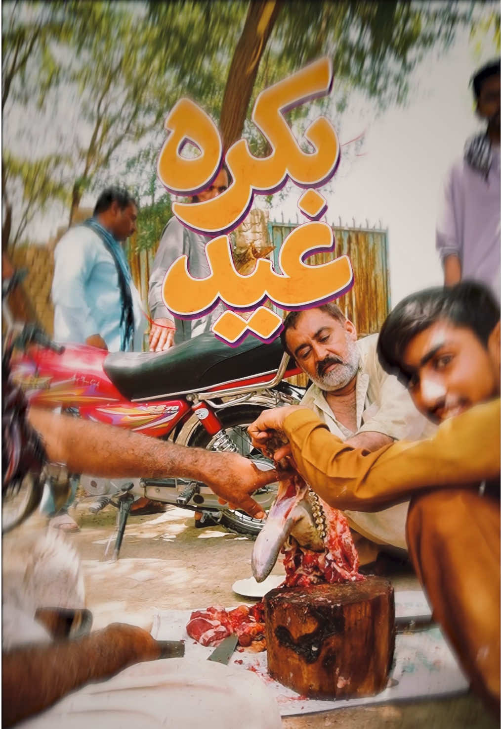@SAR BUKHARI 2.0