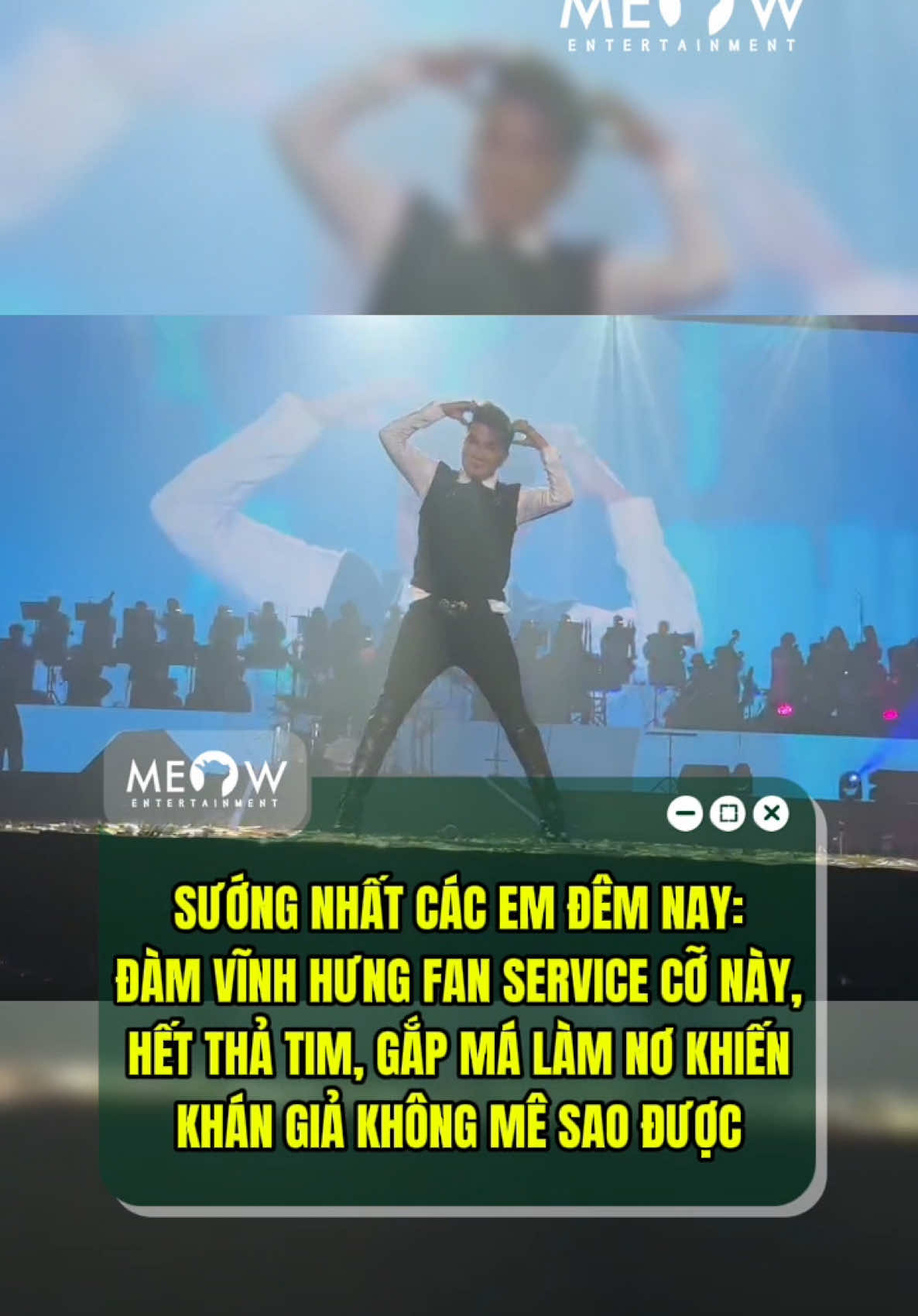 @MEOW ENTERTAINMENT