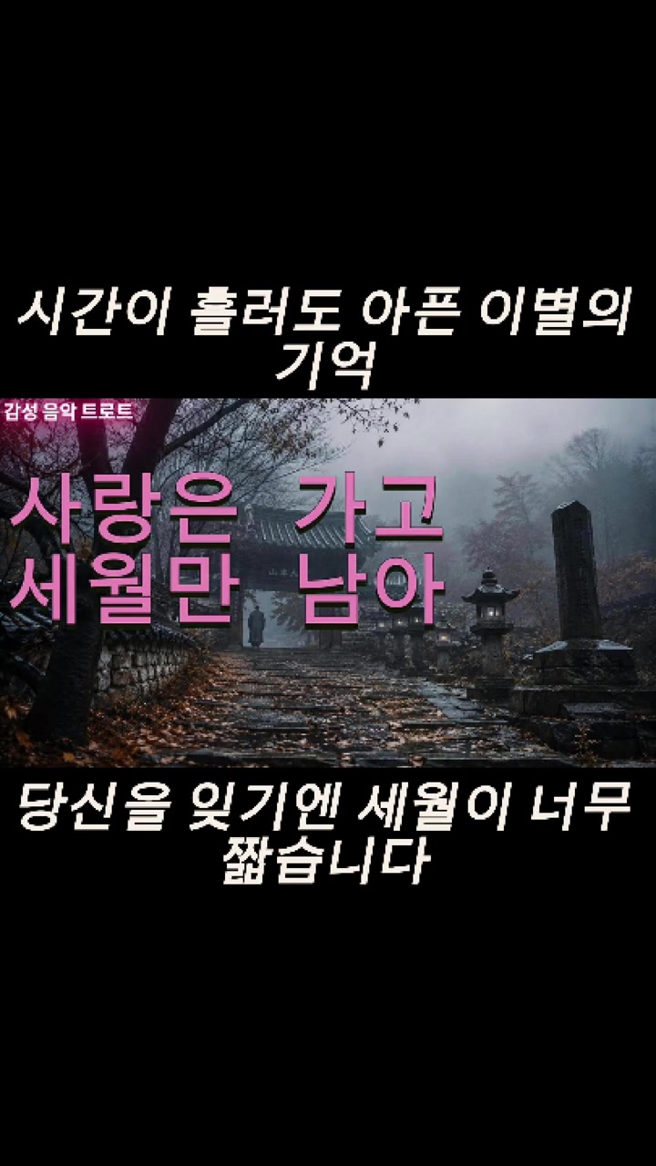 @감성 음악 트로트