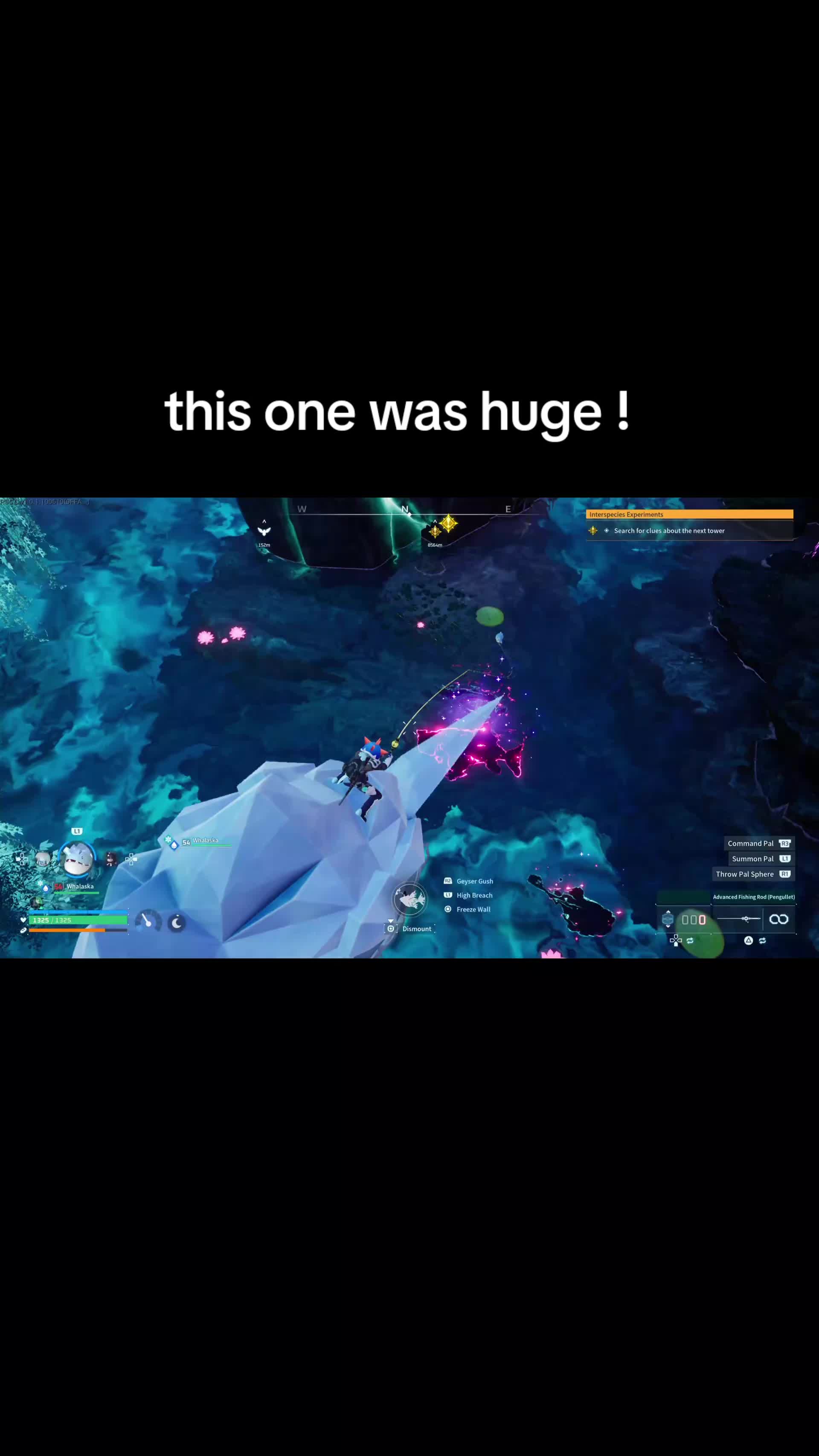 @Squidsearlobes