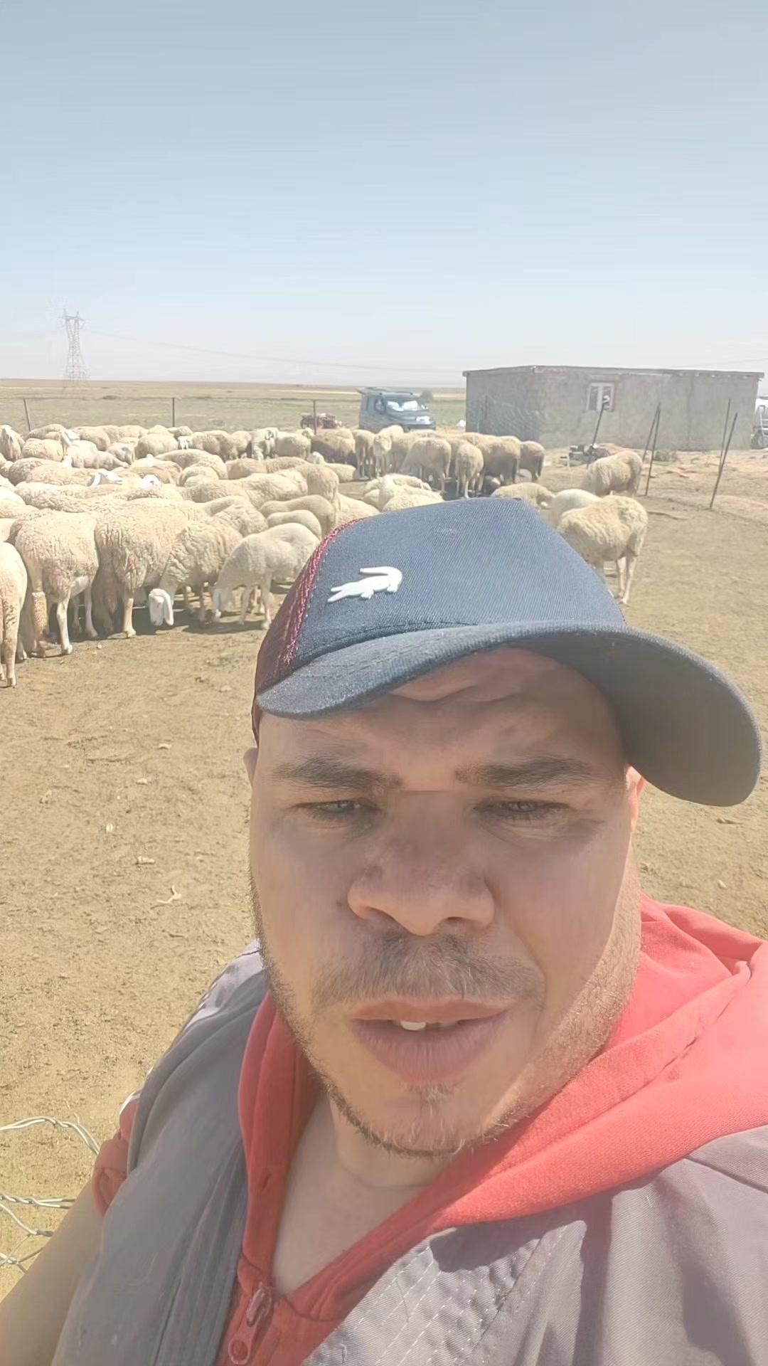 @طبيب بيطري و أفتخر