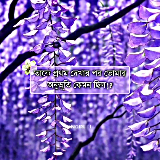 @โงโก๐๐๐ก๐๐๐ฅ๐ ๐๐๐โกโง