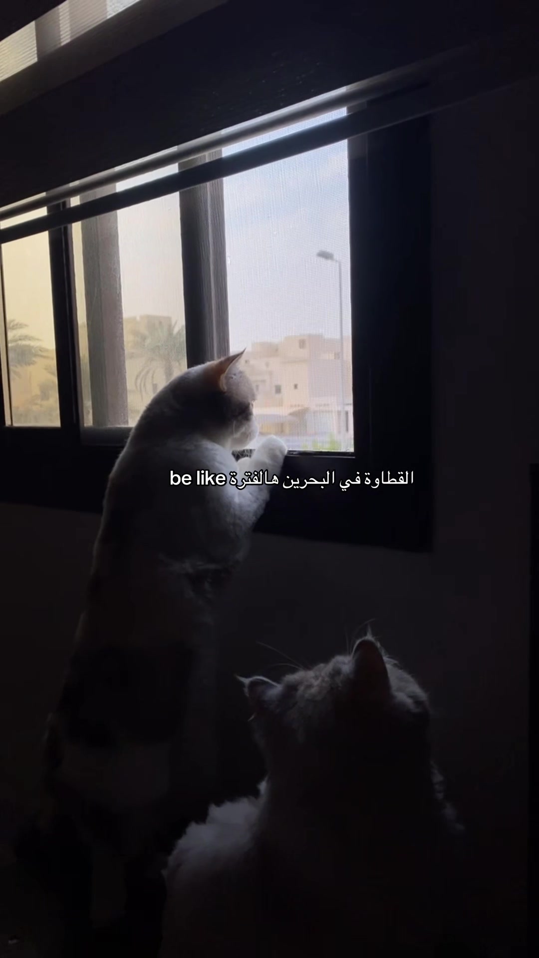 @MILA🤍LUNA