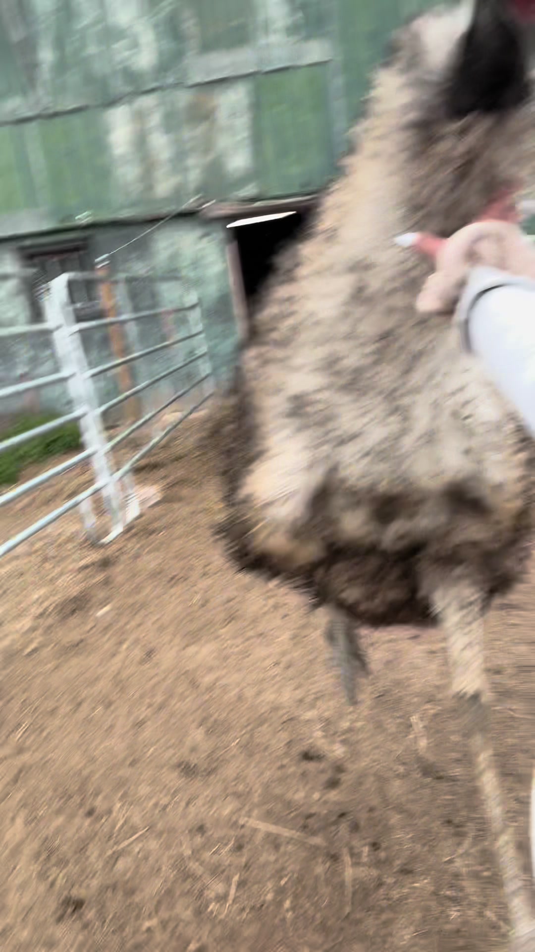@Useless Farm
