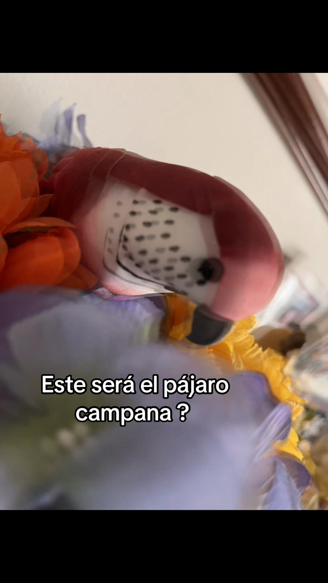 @Adriana L