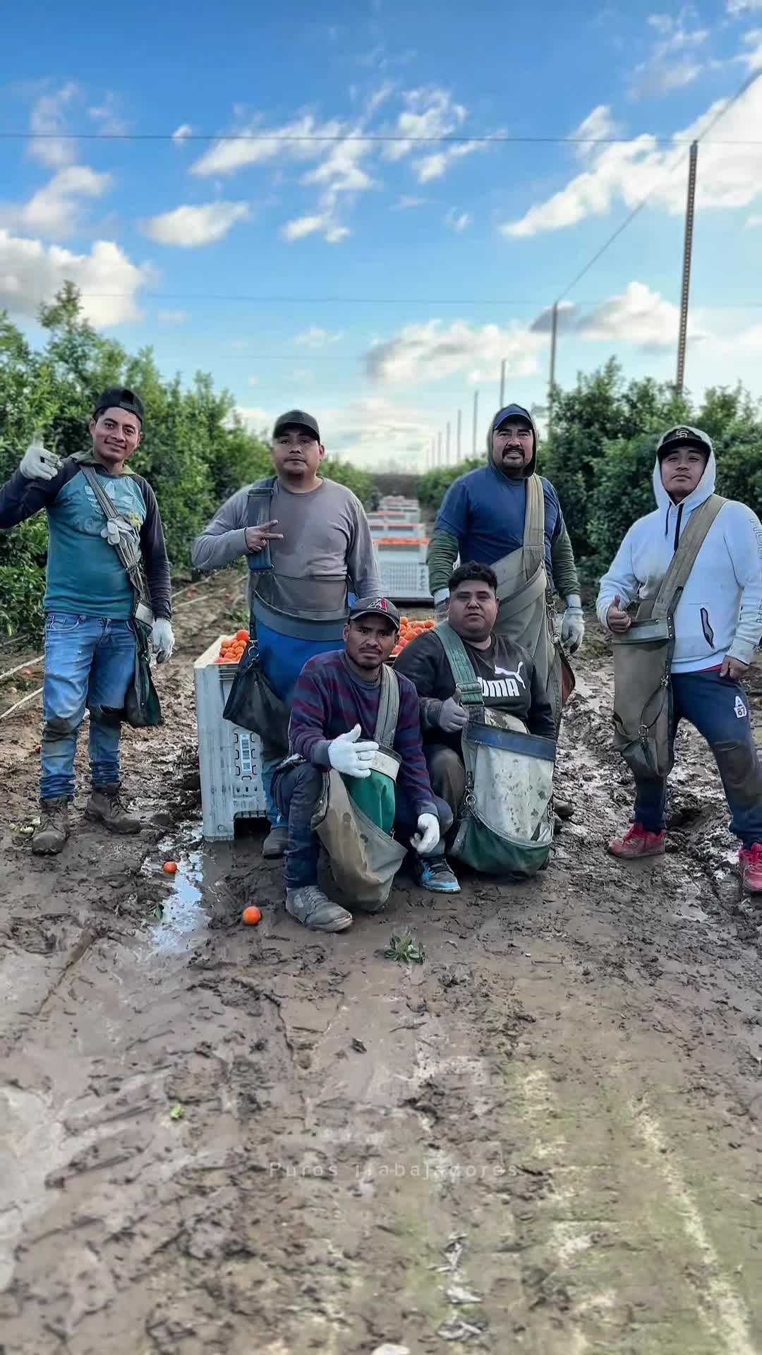 @Puros Trabajadores