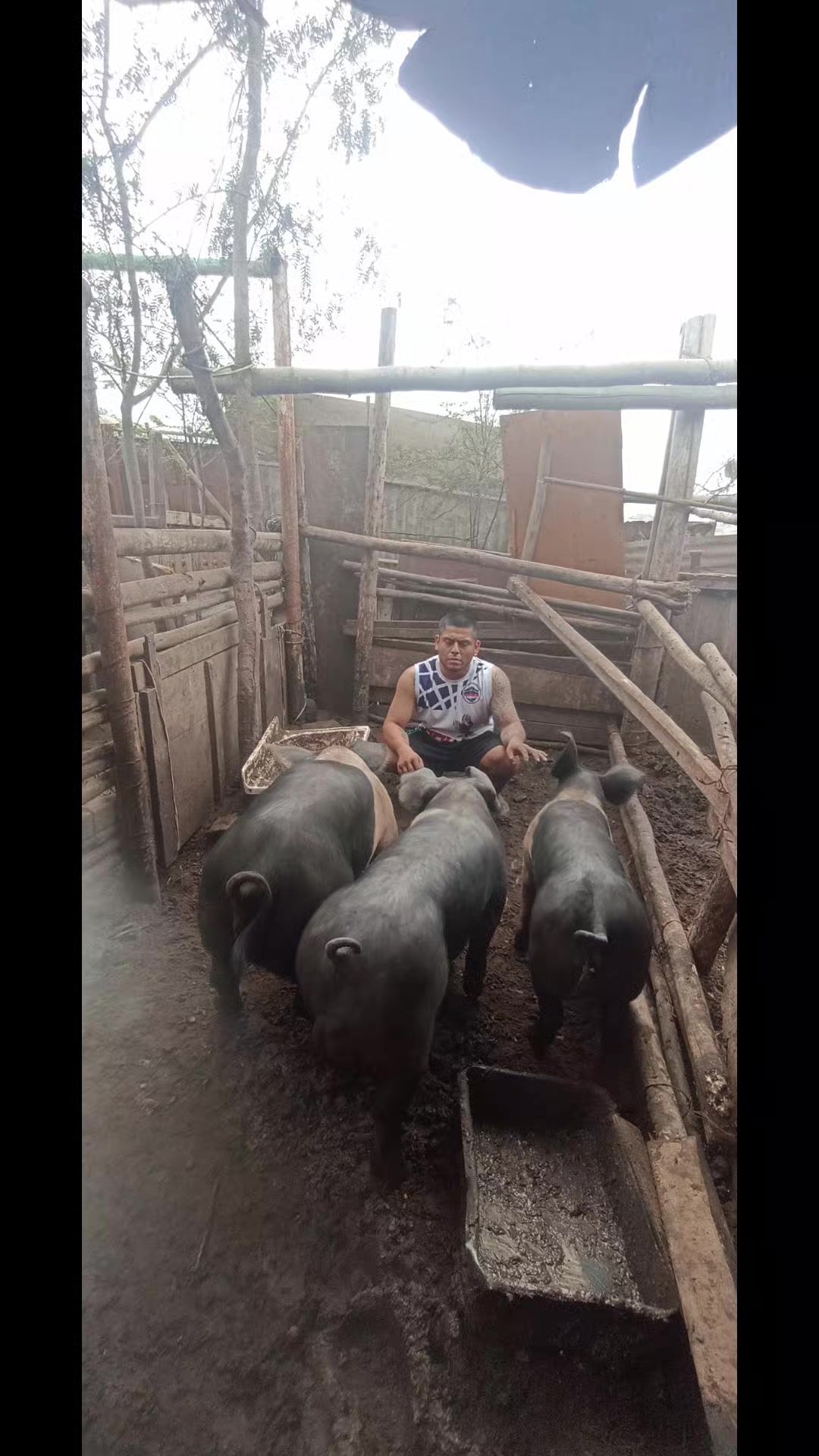 @BRAYAN .R. 🐷