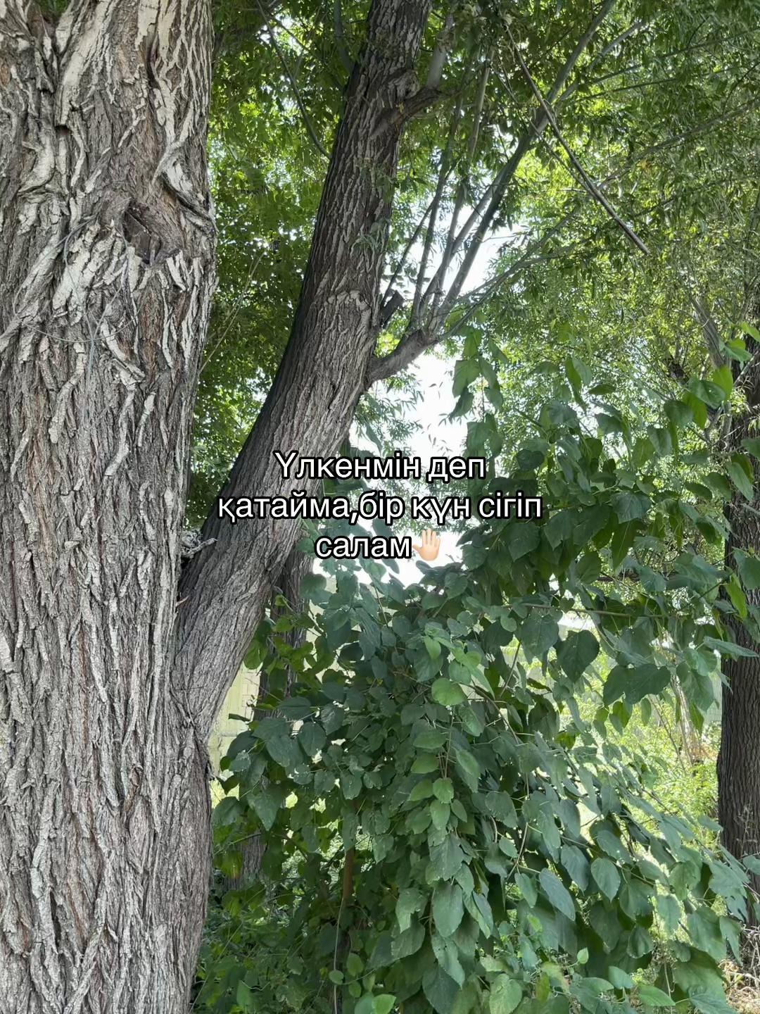 @𝓙/𝓢 скучаю