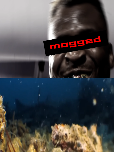 @kagewx
