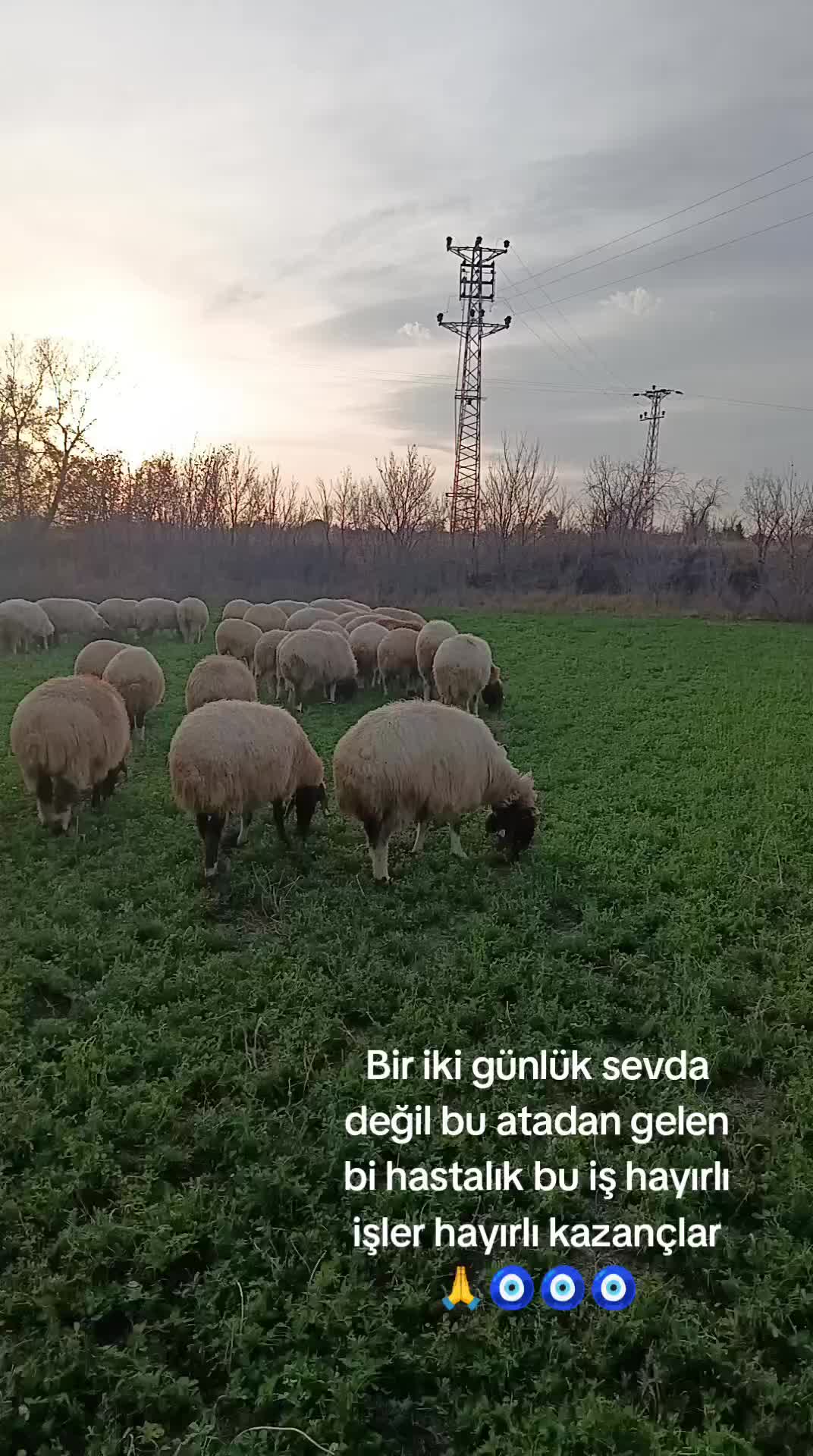@TC Barış Kancı