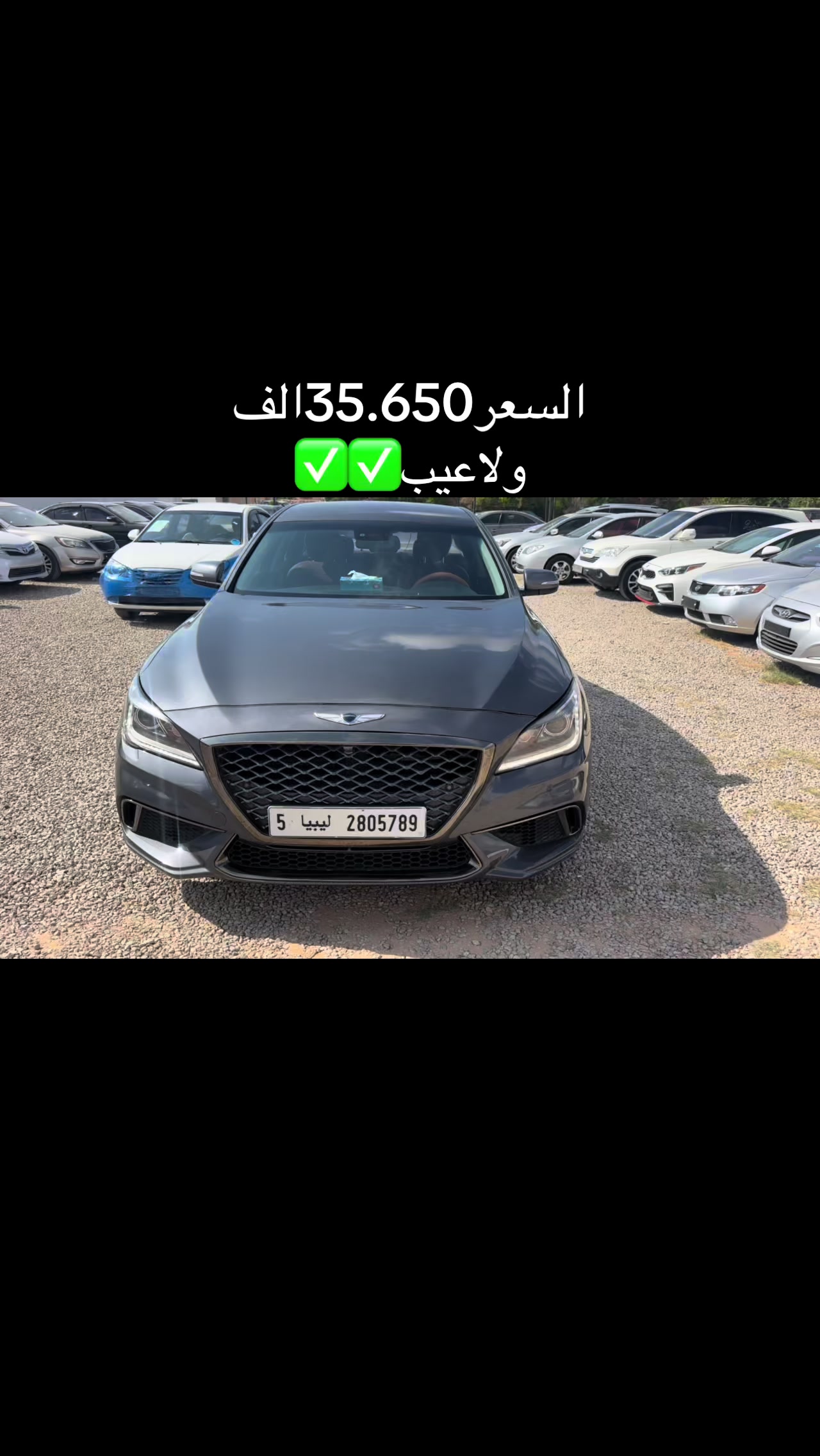 @امين جنزور