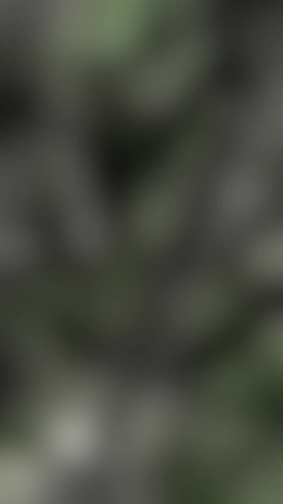 @𝐁𝐫𝐚𝐧𝐝 𝐌𝐮𝐅𝐚𝐙𝐚 🥷🏼 '