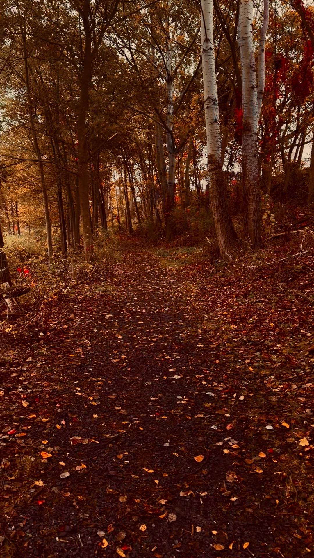 @️
