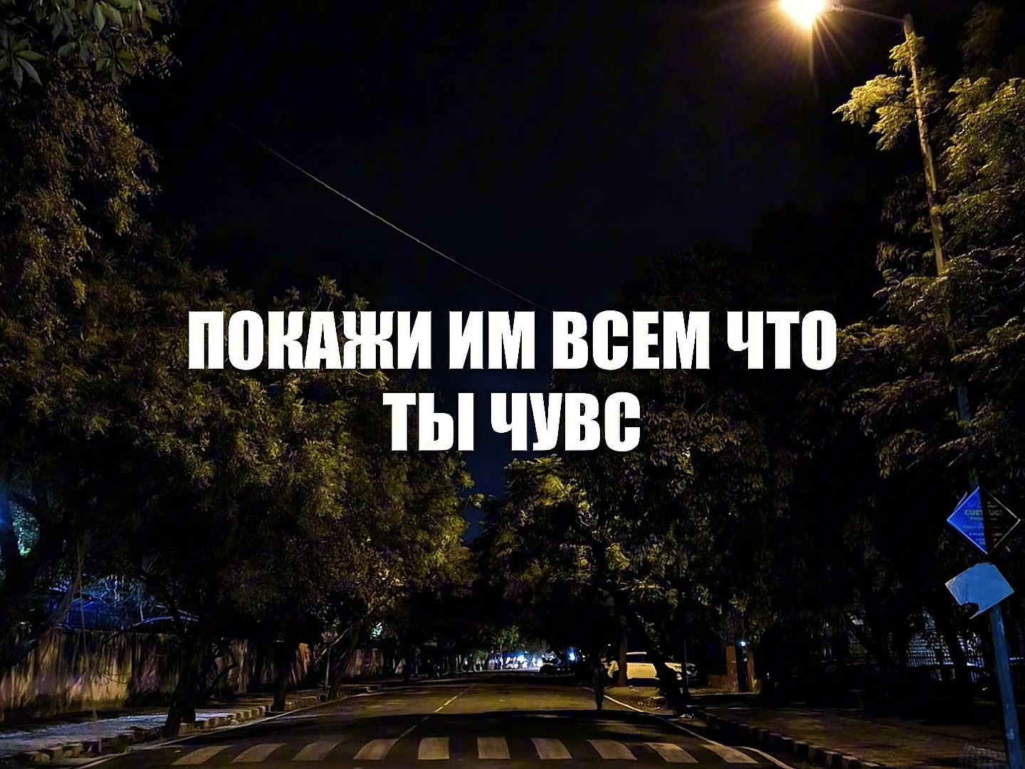 @l1k9s