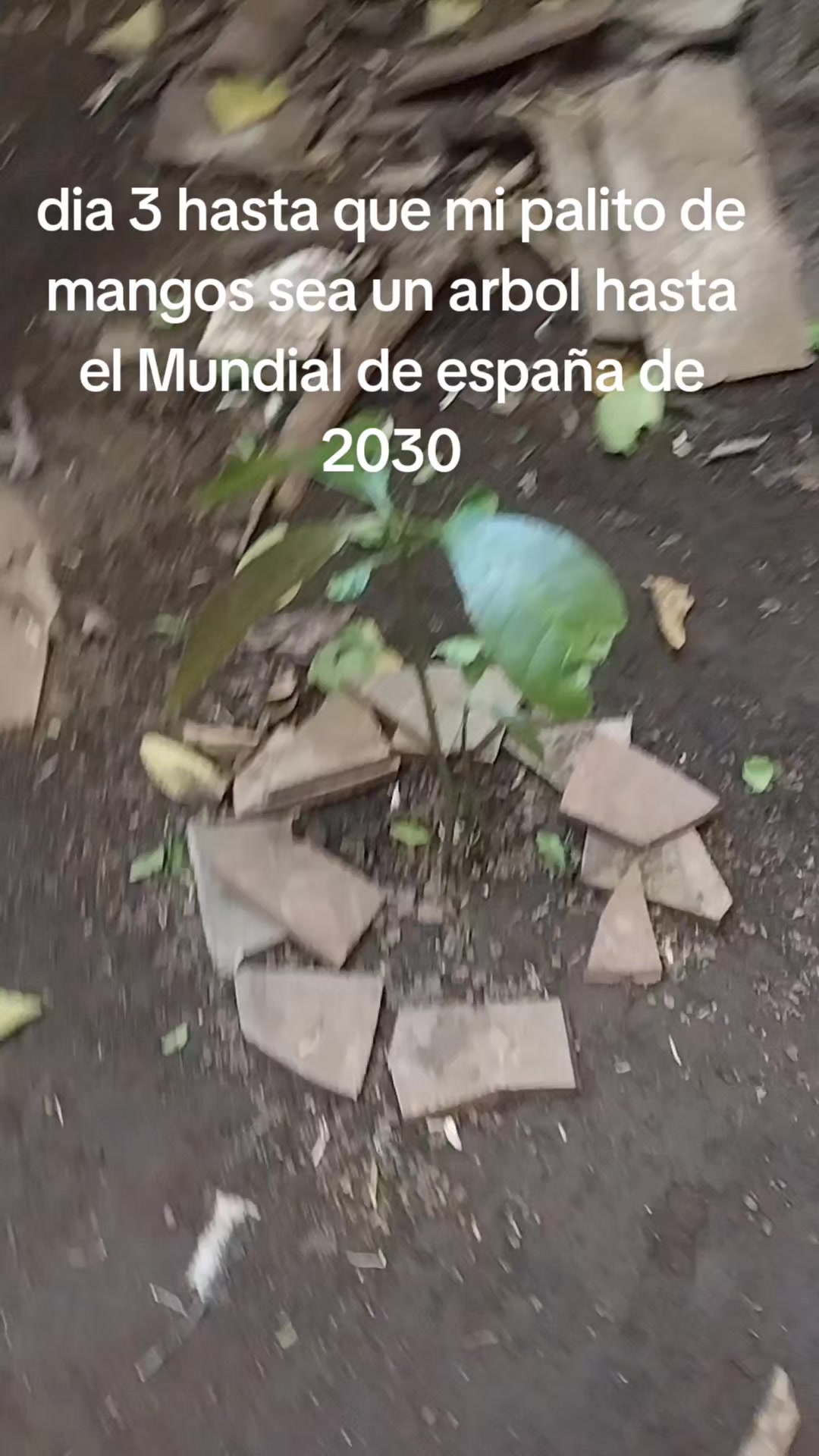 @Ale dino 🦖💚