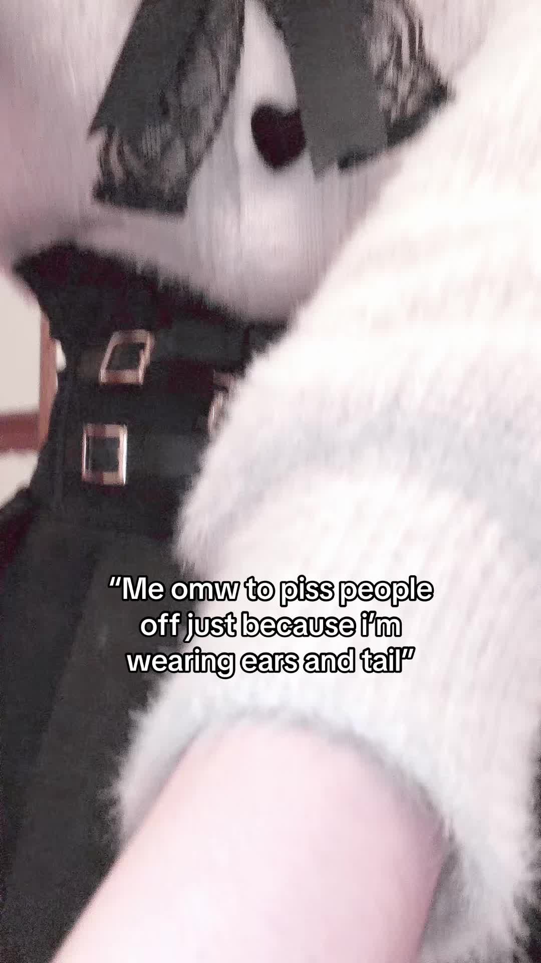 @Moon