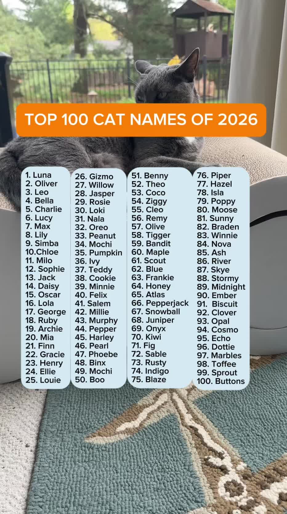 @purrfectinfluencer