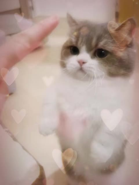 @VyyPilgrim72
