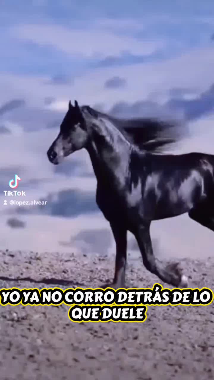 @Violeta