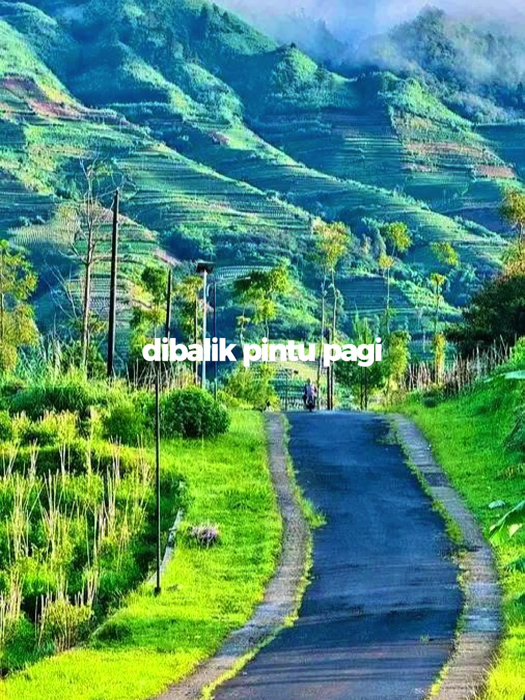 @pemaaf44