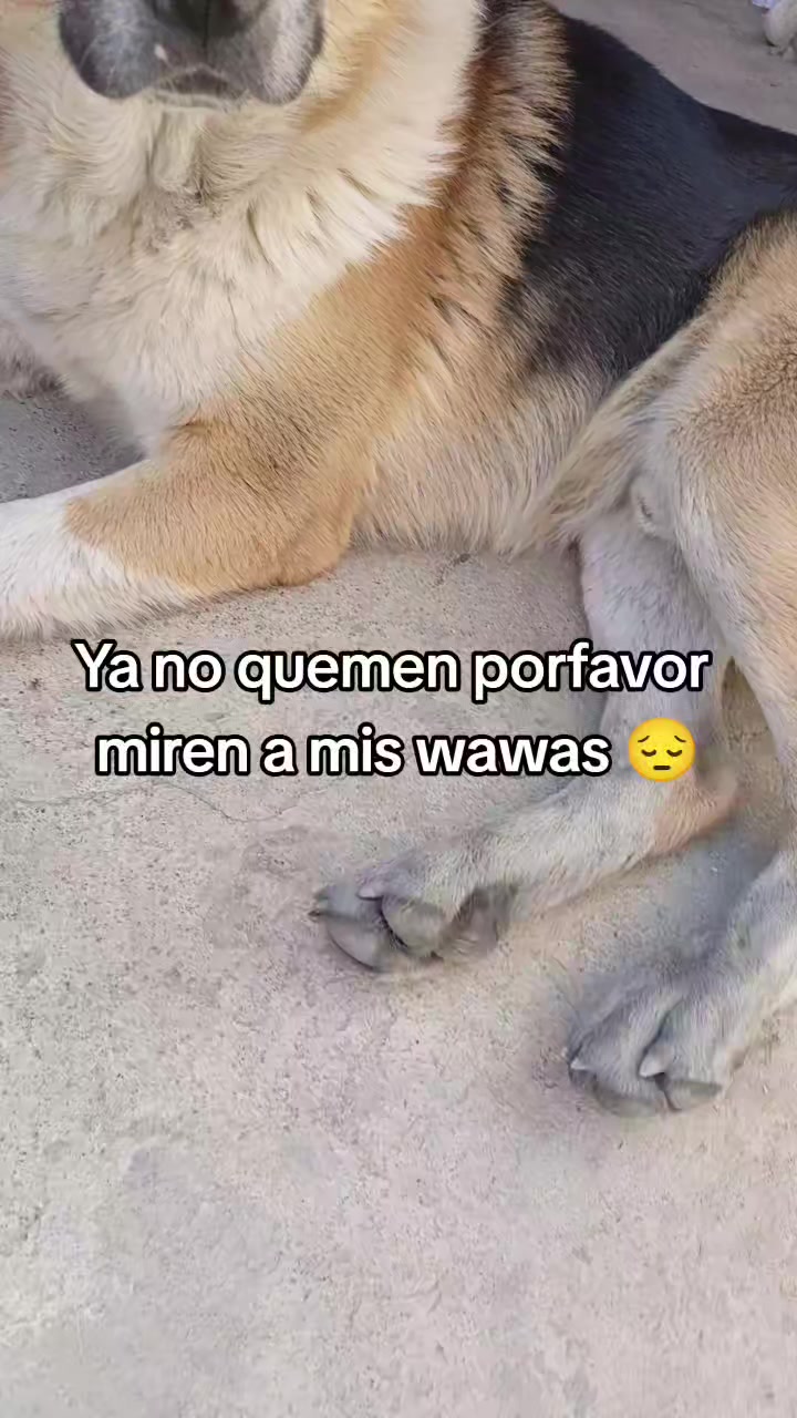 @Liz Choque