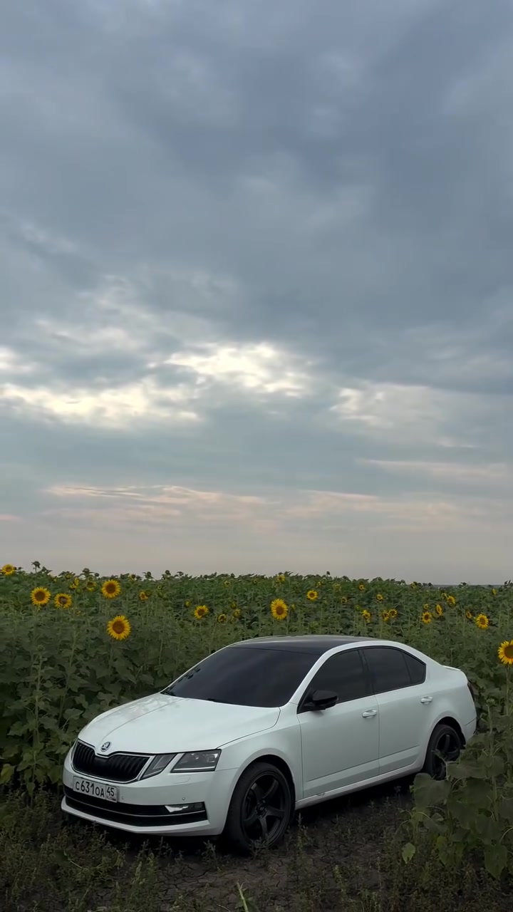 @VAGODROCH | ВАГОДРОЧЪ