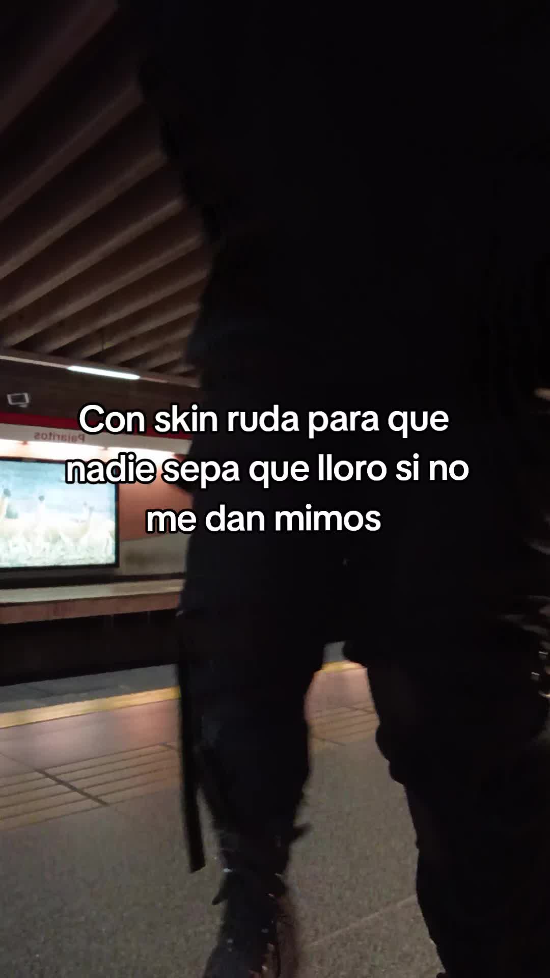 @Arepita ✨️