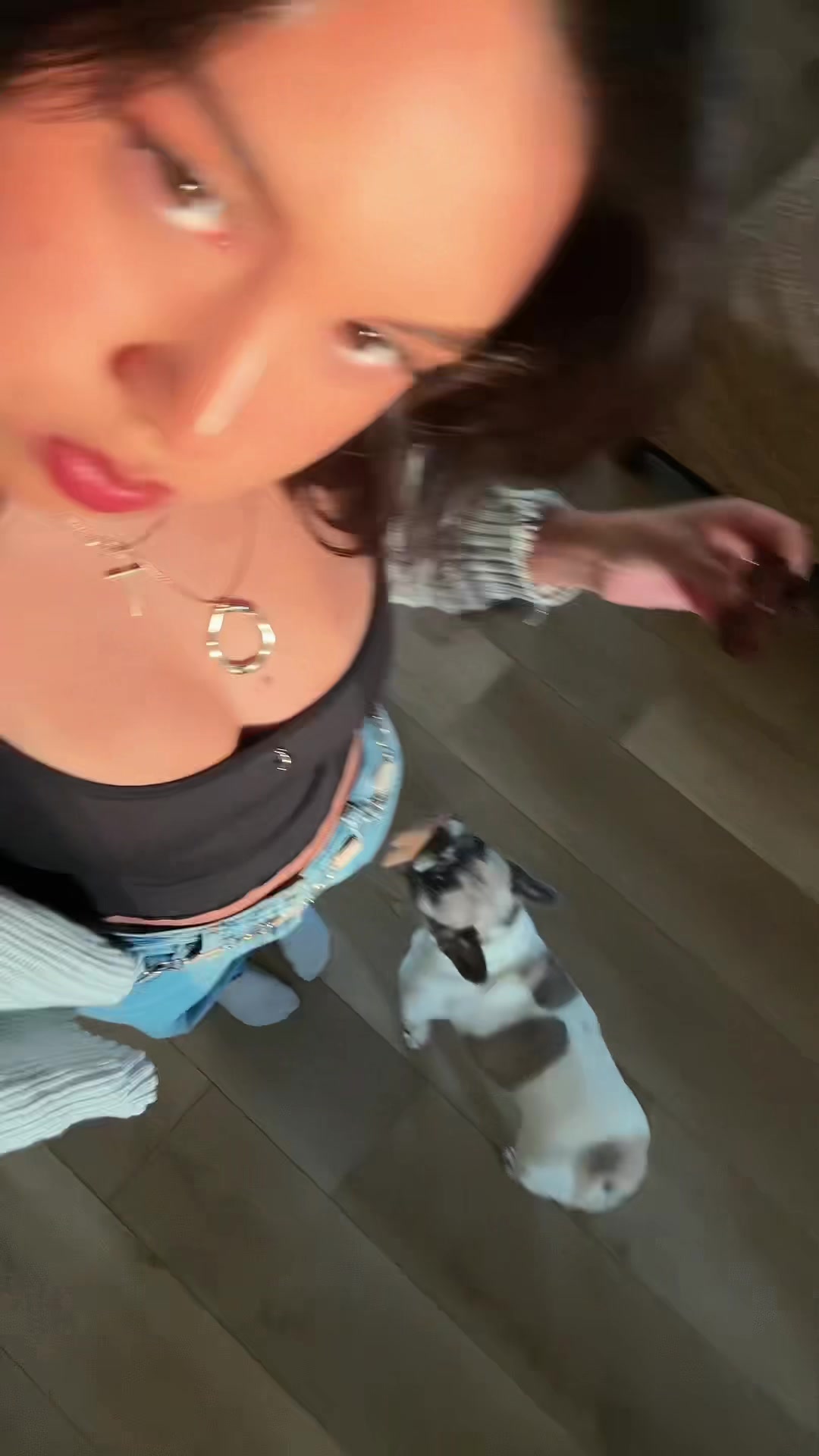 @kailani