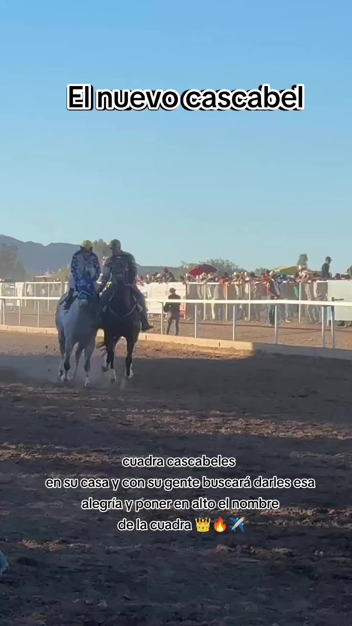 @carriles altos de jalisco🐎