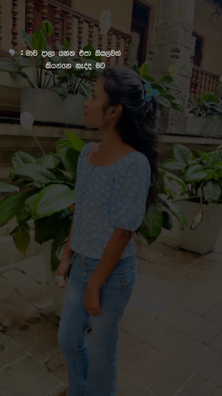 @Vihagi Thakshila🧚&zwj;♀️
