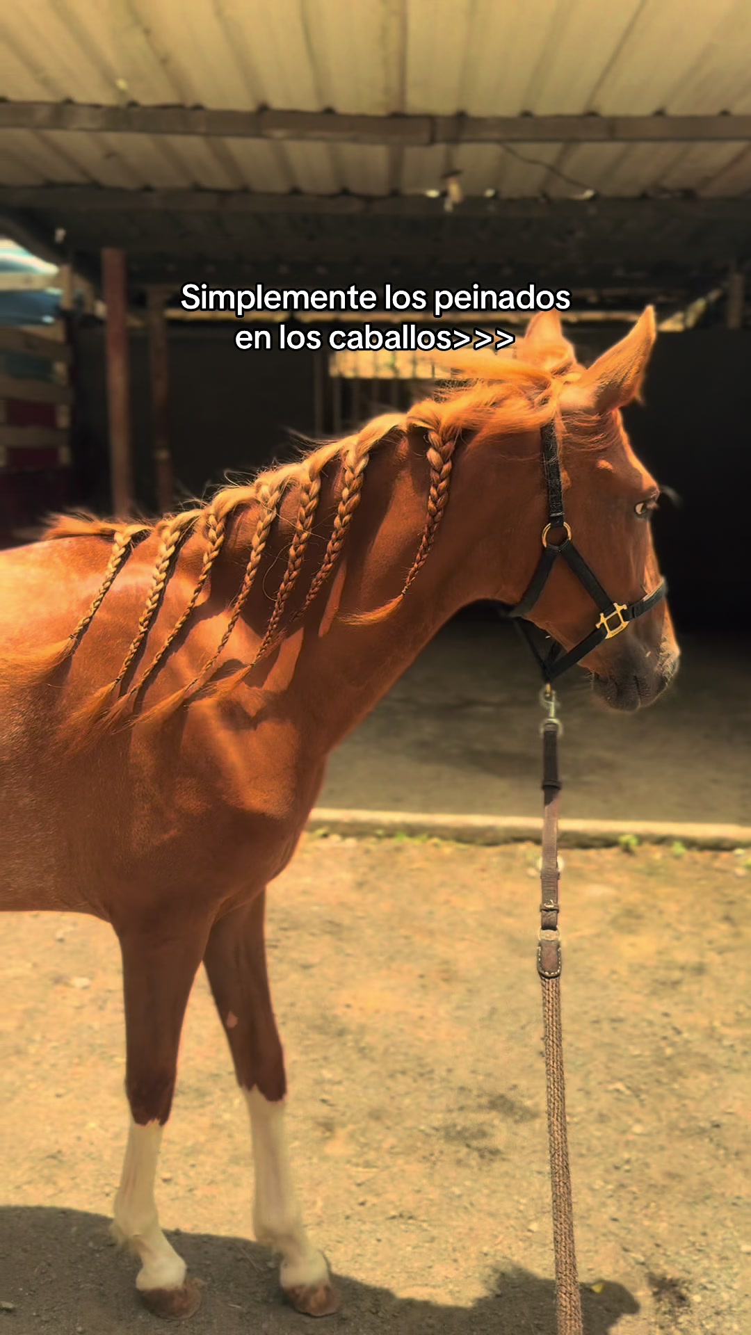 @Yany🇵🇷