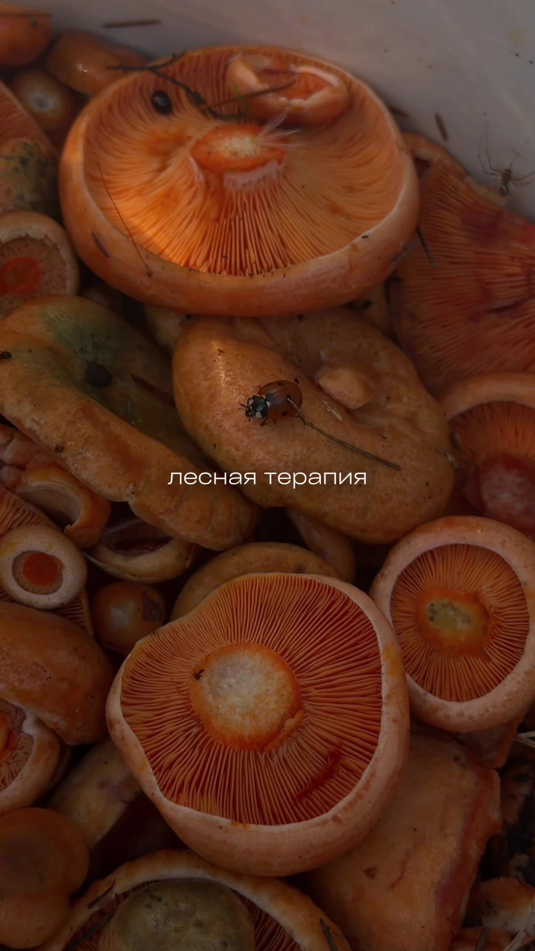 @тгк: Аня в деле