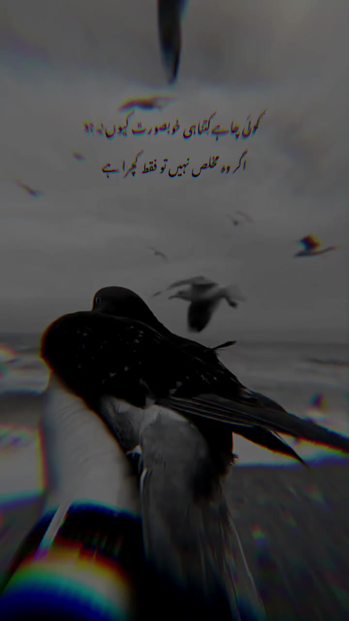 @👑AحTتAشAم jیe❤️👑
