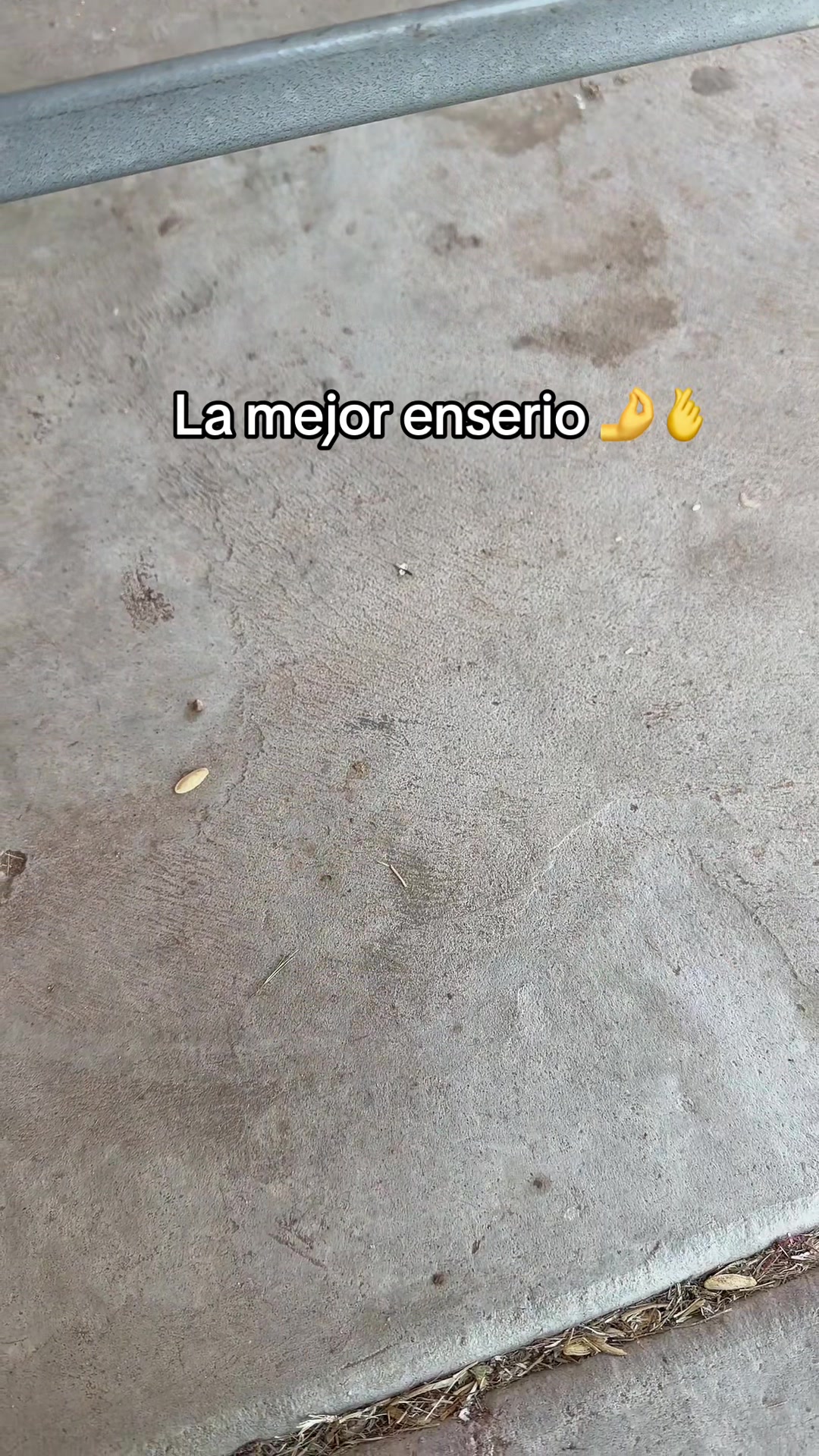 @alivalenciall