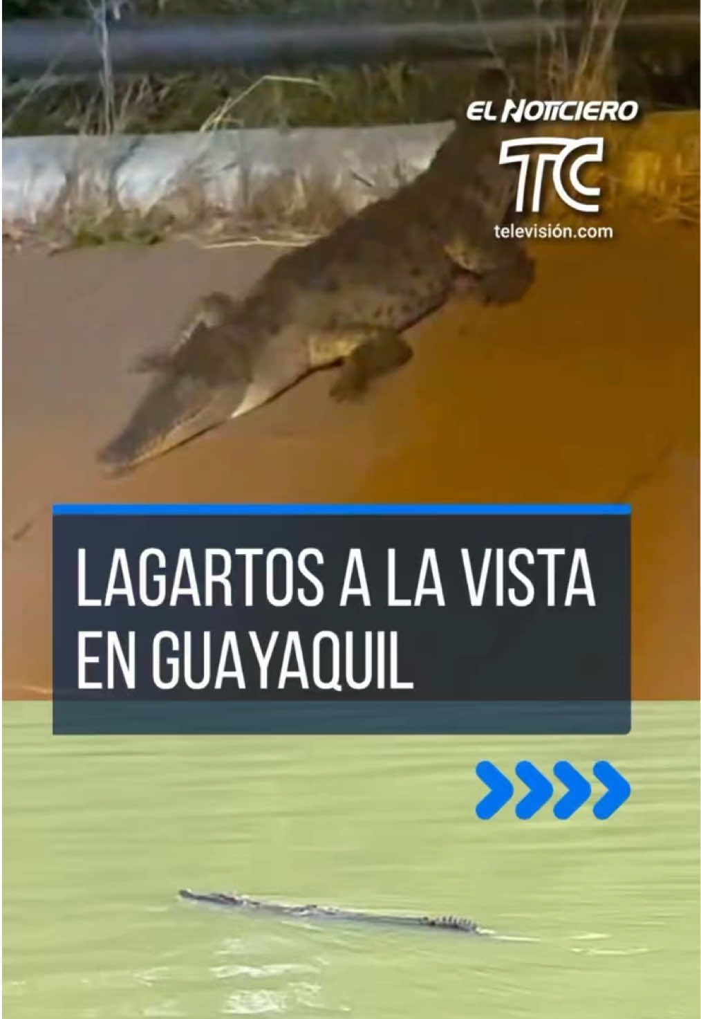 @el_noticiero_tc