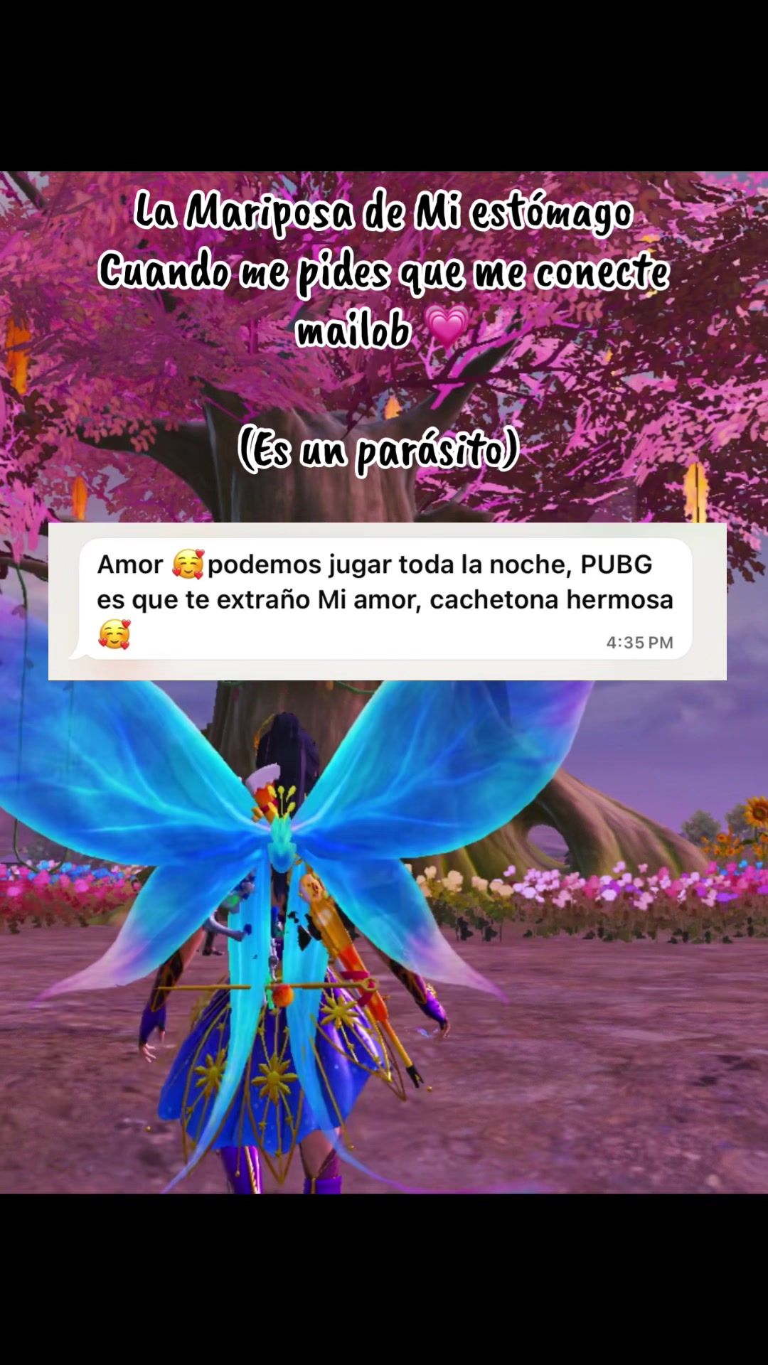 @ꜱᴀʀᴀʙɪ 𝜗𝜚 ࣪˖ ִ𐙚