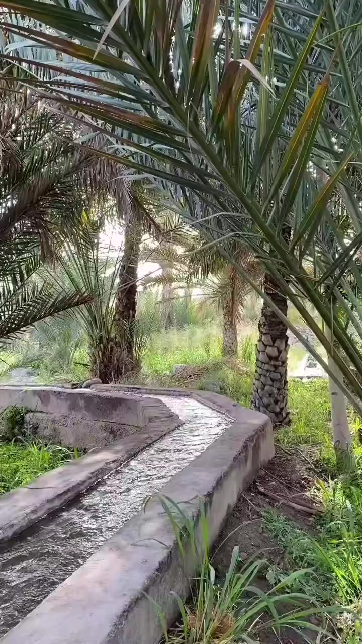@🇹🇳Májdí Gàsmí🇬🇷