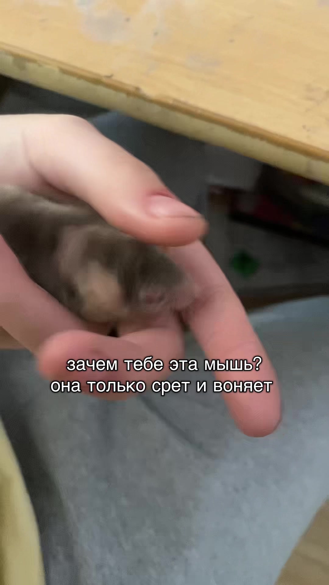 @брунзя