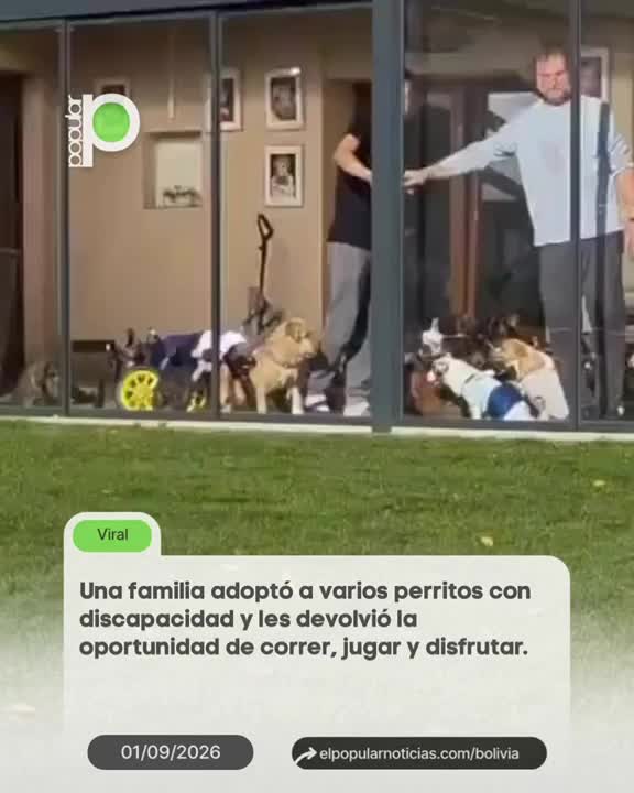 @ElPopularBolivia