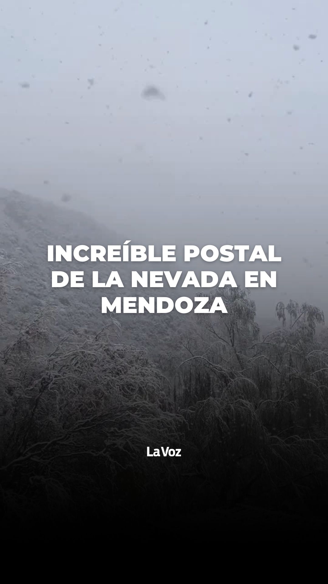@lavozcomar