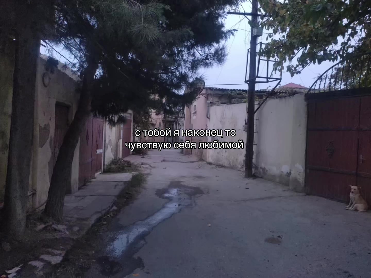 @Лана