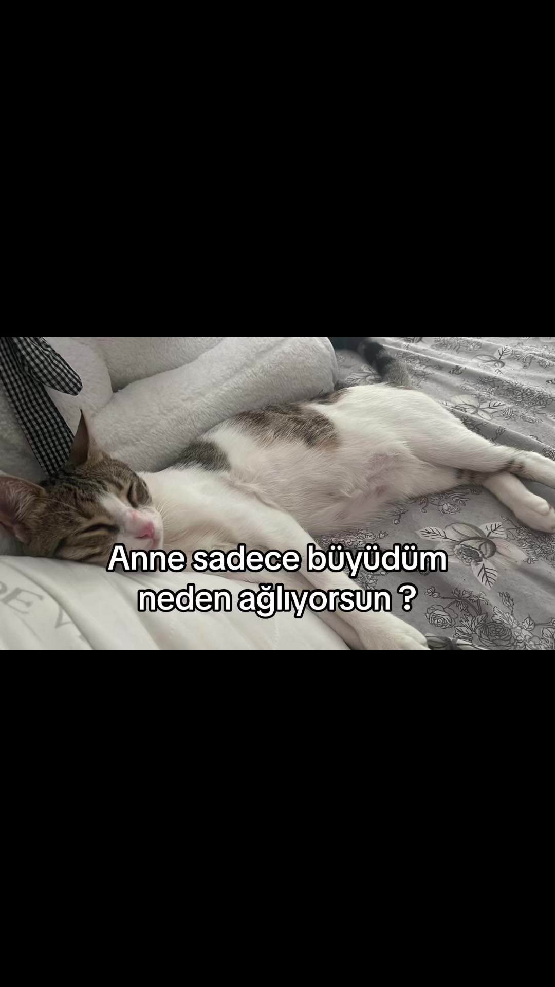 @kader1demir