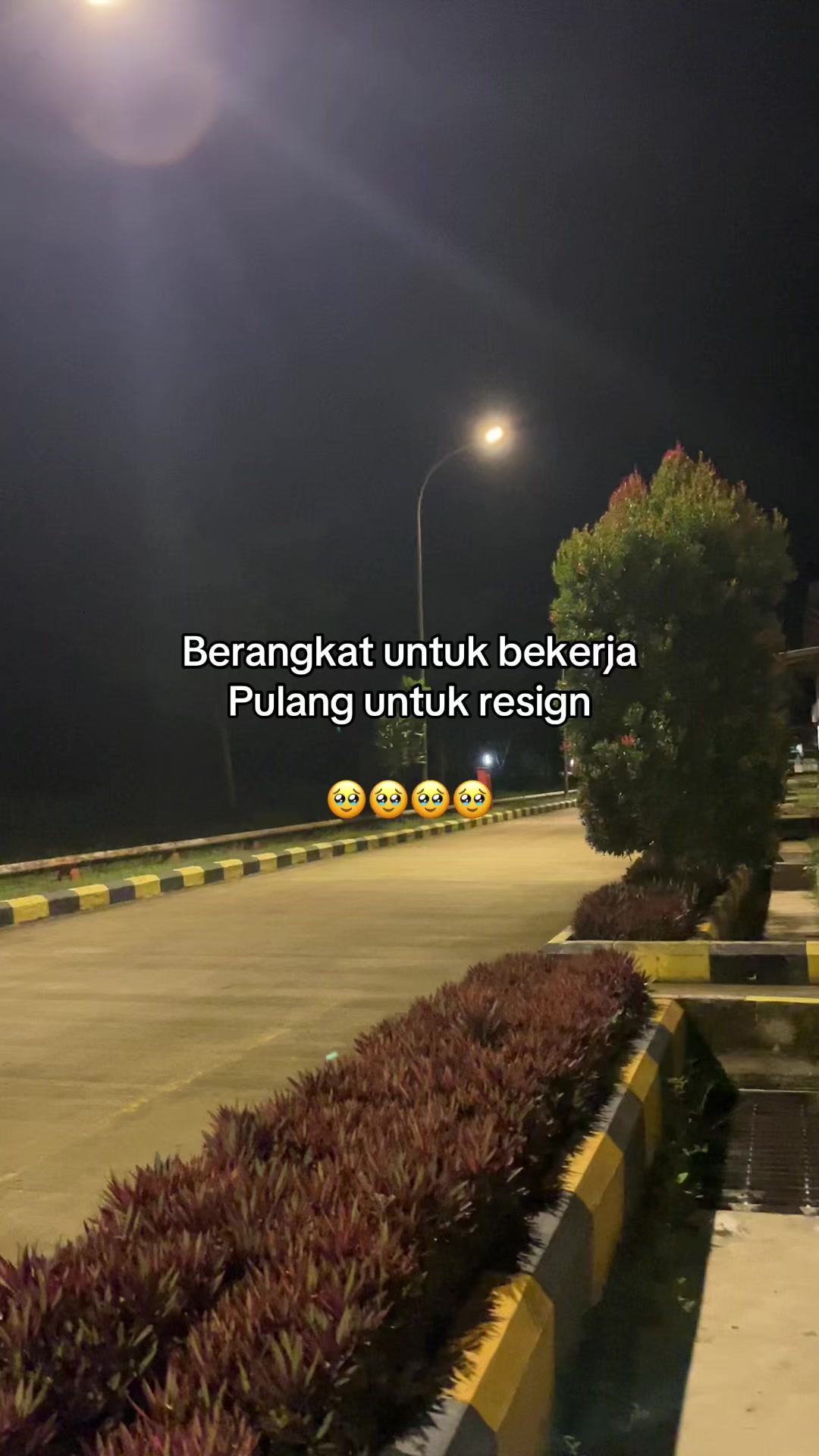@Sinta Wangon