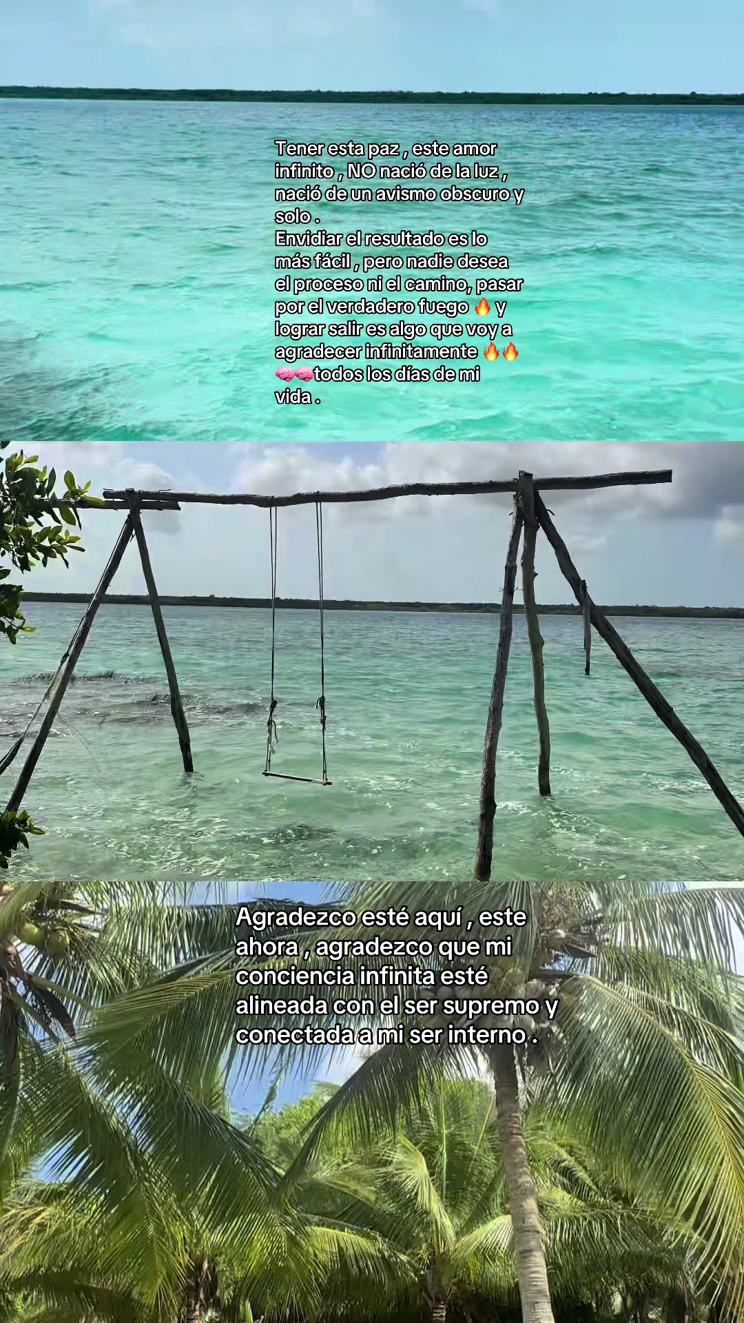 @lilygaygo